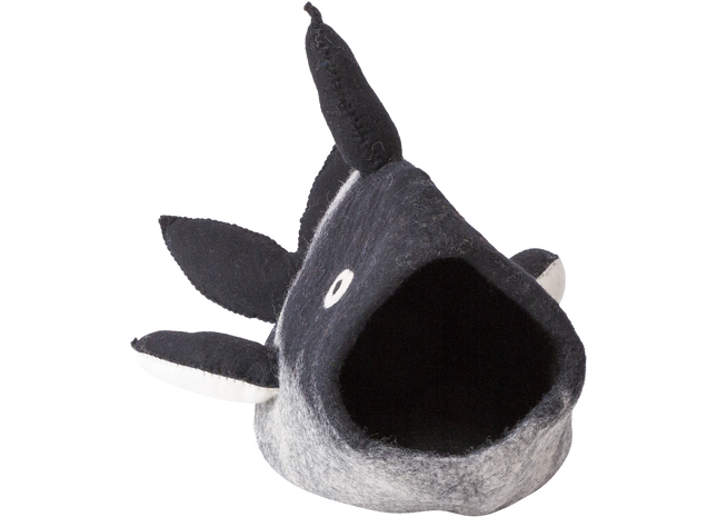 Schwarzer und weisser Orca in der Dharma Karma Höhle