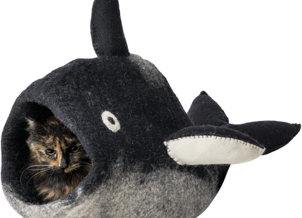 Schwarzer und weisser Orca in der Dharma Karma Höhle