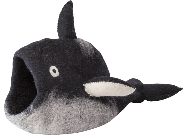 Schwarzer und weisser Orca in der Dharma Karma Höhle