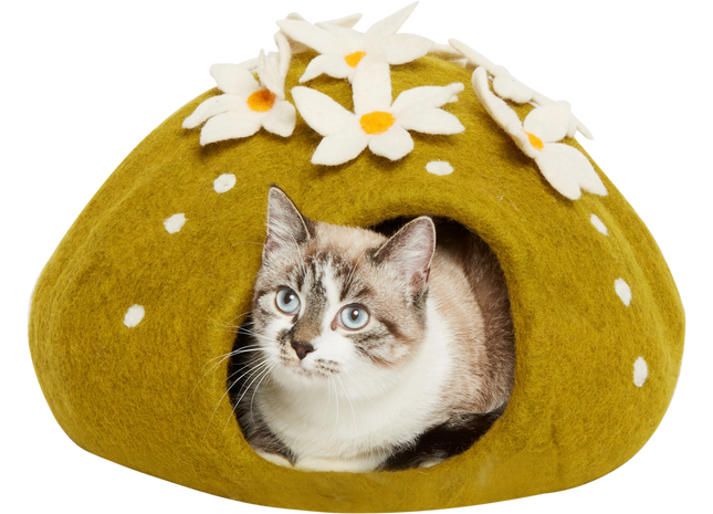 Dharma Karma Höhle Kaktus grün - Dekorativer Kaktus für ein harmonisches Zuhause