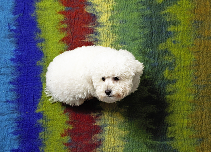 Buntes Yoga-Matte in Grün, Rot und Blau mit Ombre-Effekt
