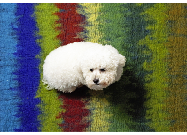 Buntes Yoga-Matte in Grün, Rot und Blau mit Ombre-Effekt