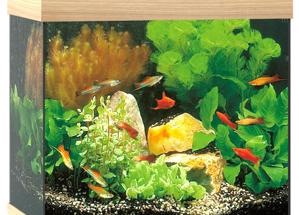 Juwel Aquarium Lido 120 div. Farben - Purrfect Pets™ 