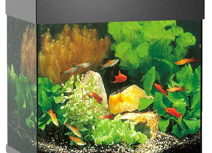 Juwel Aquarium Lido 120 div. Farben - Purrfect Pets™ 