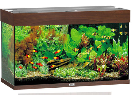 Juwel Aquarium Rio 125 div. Farben - Purrfect Pets™ 