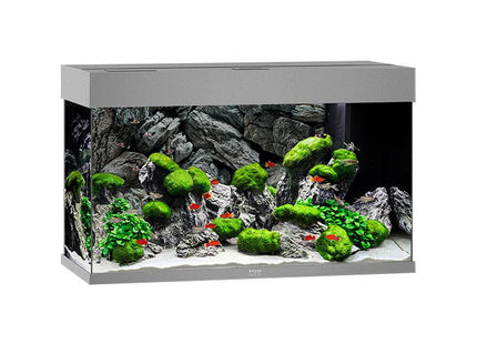 Juwel Aquarium Rio 125 div. Farben - Purrfect Pets™ 