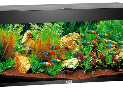 Juwel Aquarium Rio 180 Eiche div. Farben - Purrfect Pets™ 