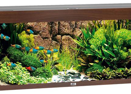 Juwel Aquarium Rio 240 div. Farben - Purrfect Pets™ 