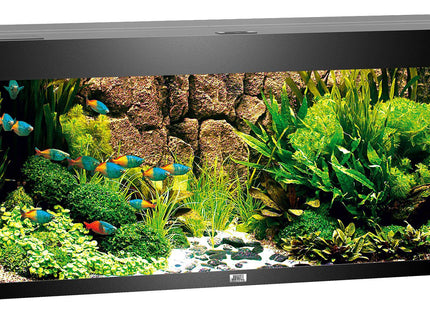 Juwel Aquarium Rio 240 div. Farben - Purrfect Pets™ 