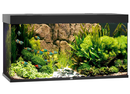 Juwel Aquarium Rio 350 div. Farben - Purrfect Pets™ 