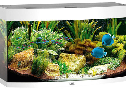 Juwel Aquarium Vision 180 div. Farben - Purrfect Pets™ 