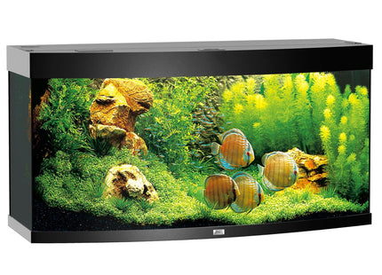 Juwel Aquarium Vision 260 div. Farben - Purrfect Pets™ 