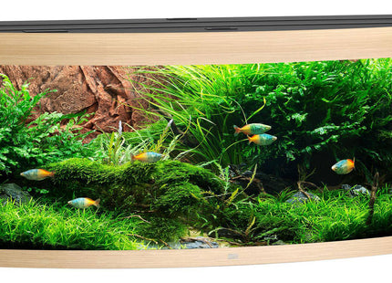 Juwel Aquarium Vision 450, 4xLed div. Farben - Purrfect Pets™ 