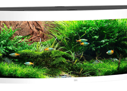 Juwel Aquarium Vision 450, 2xLed div. Farben - Purrfect Pets™ 