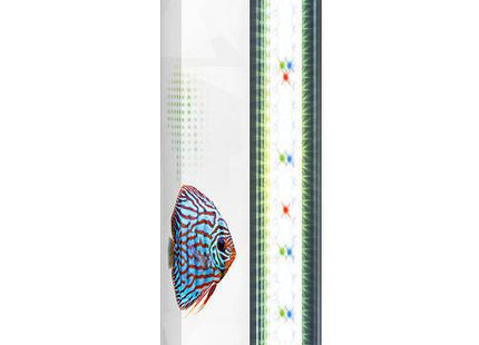 Juwel HeliaLux LED Spectrum - Purrfect Pets™ 