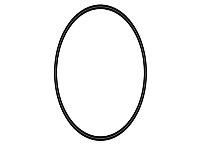 Sera O-Ring für CO2 für 500 g - Ersatzteil für Aquarium Zubehör