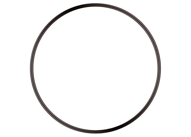 Sera O-Dichtung für PS 130 - hochwertige Ersatzdichtung für Aquarium Pumpe