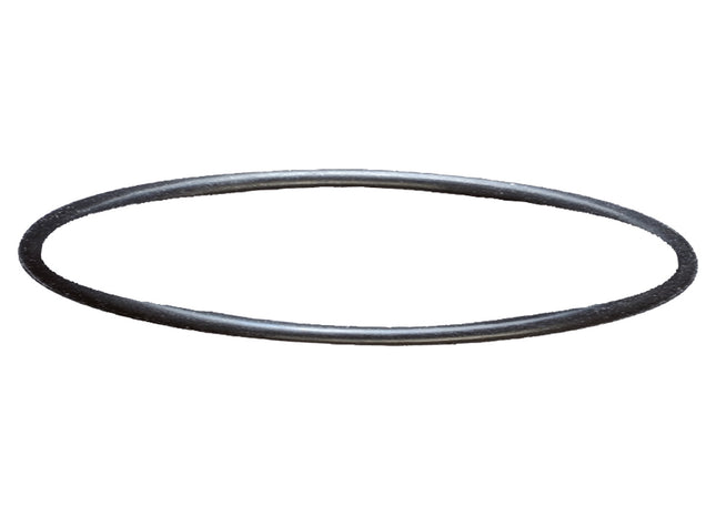 Sera Filterkopf-Dichtung für 130, 130 + UV