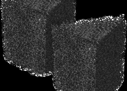 Schwarzer Filterschwamm für Eckfilter 450 von sera