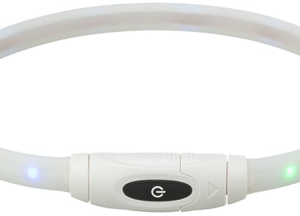 Bunter USB-LED-Leuchtring für Hunde, sicher und stylisch bei Nacht