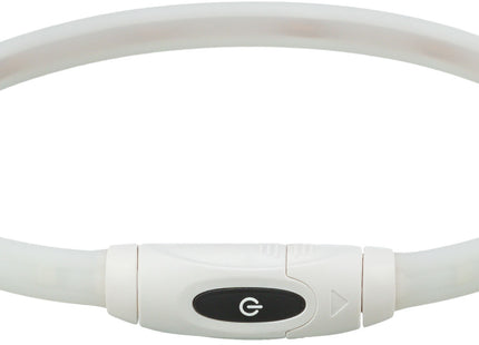 Bunter USB-LED-Leuchtring für Hunde, sicher und stylisch bei Nacht