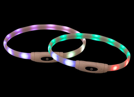 Bunter USB-LED-Leuchtring für Hunde, sicher und stylisch bei Nacht