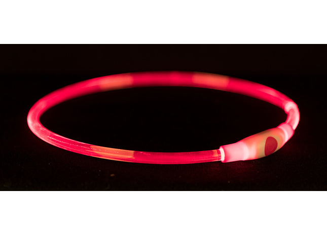 Roter USB-LED-Leuchtring für Hunde von Trixie