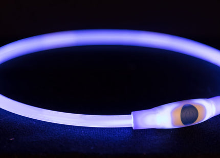 Blauer USB-LED-Leuchtring von Trixie für sicheres Gassigehen bei Nacht