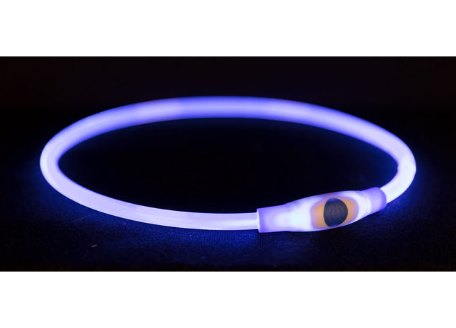 Blauer USB-LED-Leuchtring von Trixie für sicheres Gassigehen bei Nacht