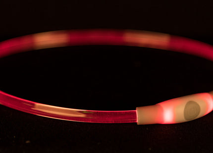 Leuchtender USB-Multicolor-Ring von Trixie für sicheres Gassi gehen