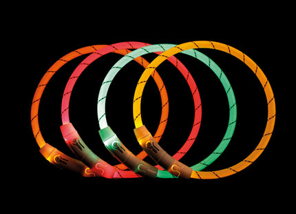 Leuchtender grüner USB-Halsring für Hunde von Trixie