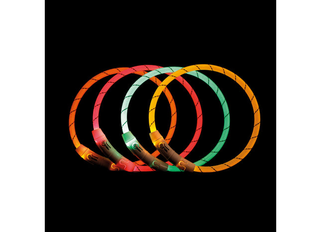 Leuchtender grüner USB-Halsring für Hunde von Trixie