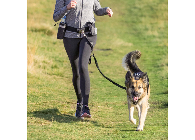 Schwarze Trixie Hands-Free Leine mit Bauchgurt - praktisch und komfortabel für unterwegs!