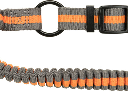 Joggingleine für Hunde, 1,33-1,80m lang, 20mm breit, in Petrol/Aqua-Farben