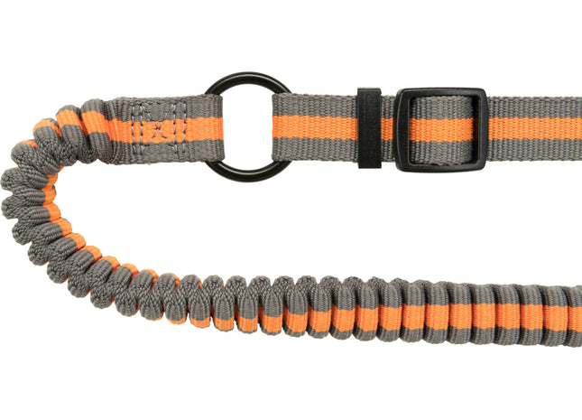 Joggingleine für Hunde, 1,33-1,80m lang, 20mm breit, in Petrol/Aqua-Farben