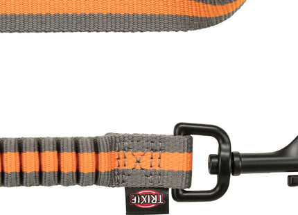 Joggingleine für Hunde, 1,33-1,80m lang, 20mm breit, in Petrol/Aqua-Farben