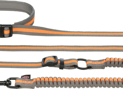 Joggingleine für Hunde, 1,33-1,80m lang, 20mm breit, in Petrol/Aqua-Farben