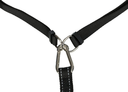 Bequemer Bauchgurt mit Leine für entspannte Spaziergänge mit Ihrem Hund