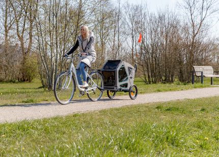 Trixie - Fahrradanhänger, grau/salbei