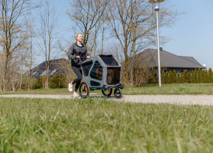 Trixie - Jogger-Umbausatz für Fahrradanhänger, grau/salbei