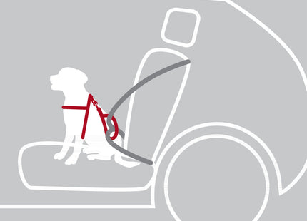 Sicherheitsgeschirr für Hunde in Schwarz von Trixie