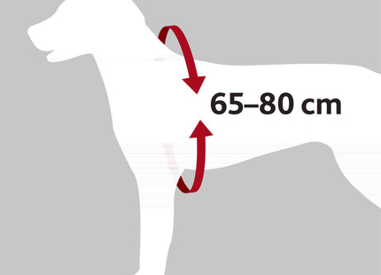 Sicherheitsgeschirr für Hunde in Schwarz von Trixie