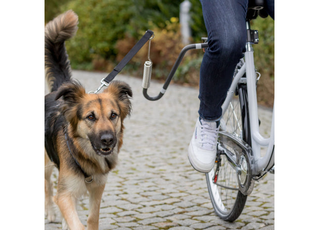 Praktisches Biker-Set in Graphit, Grösse XL, von Trixie für entspannte Ausflüge mit Ihrem Hund