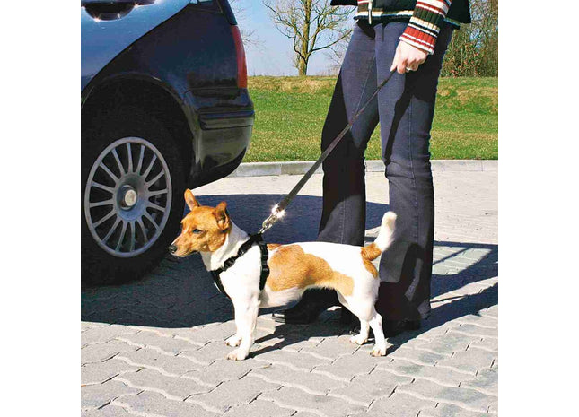 Sicherheitsgeschirr für Hunde in elegantem Schwarz