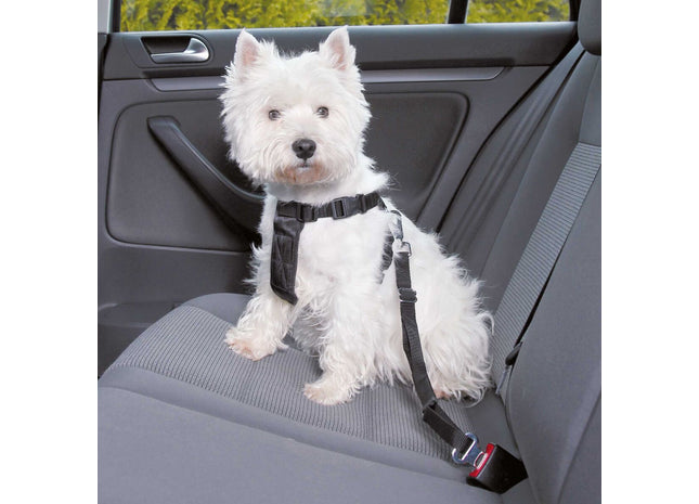 Sicherheitsgeschirr für Hunde in elegantem Schwarz