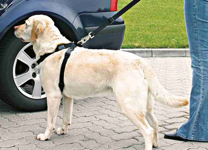 Sicherheitsgeschirr für Hunde in elegantem Schwarz