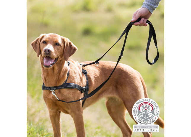 Schwarzes Erziehungsgeschirr für Hunde von Trixie