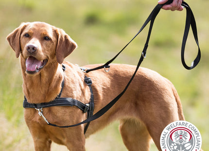 Schwarzes Erziehungsgeschirr für Hunde von Trixie