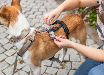 Schwarzer Panik-Adapter Stay für Geschirre von Trixie