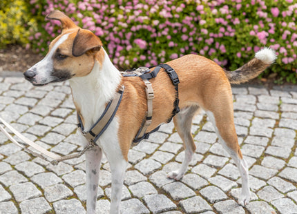 Schwarzer Panik-Adapter Stay für Geschirre von Trixie